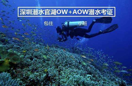 外卖员夫妻因饿极了偷了同行 2 份外卖被抓，你认为值得同情吗？游戏画面